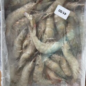 Buy PD vannamei shrimp