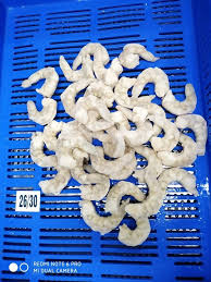 PUD Vannamei shrimp for sale